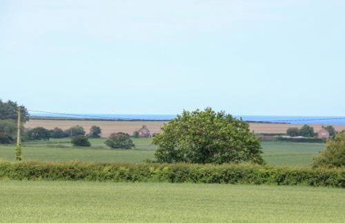 Spinney's Den - Foto 24