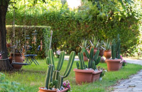 Amarylis Apartments - Foto 8