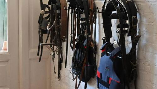 Landhaus pur - Foto 3