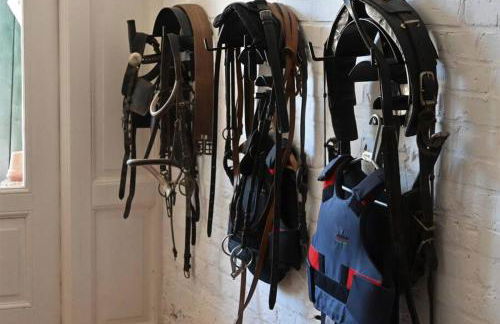 Landhaus pur - Foto 3