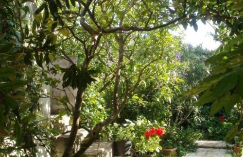 Seaside Holiday Home Andrija - Foto 63