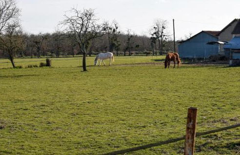 Gorgeous Home In Briare With Sauna - Photo 30