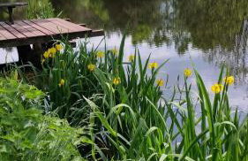 Agroturystyka Szafarnia 19 - Foto 8