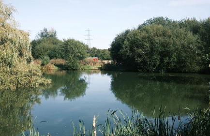 Willow Lodge - Foto 16