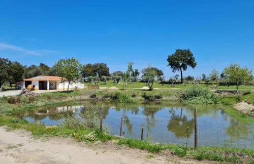 Kochab Alentejo - Foto 15