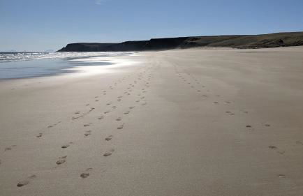 Remuera, North Tolsta - Photo 48