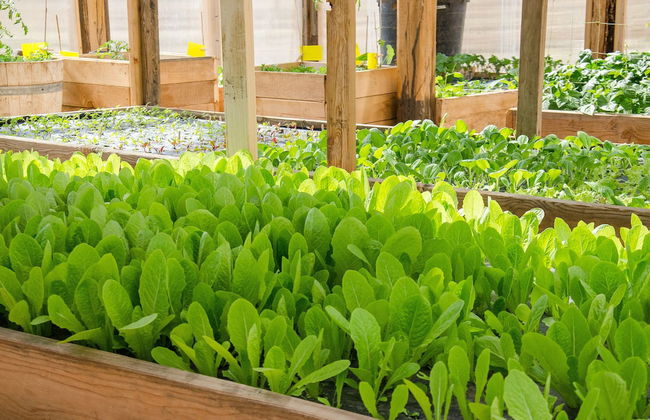 Zion Mountain Ranch - Foto 45