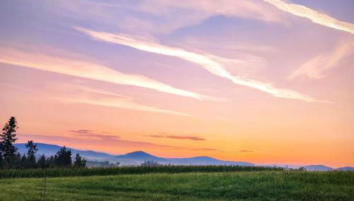 Ferienwohnung Lichtenauer Hof - Foto 5, Garden