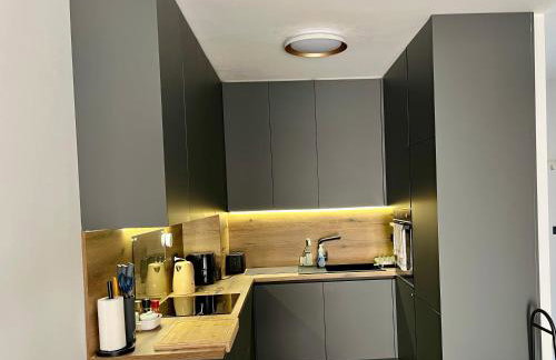 Apartament Slatine No 1 - Photo 10