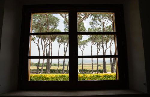 Agriturismo Borgo Bernabei - Foto 14