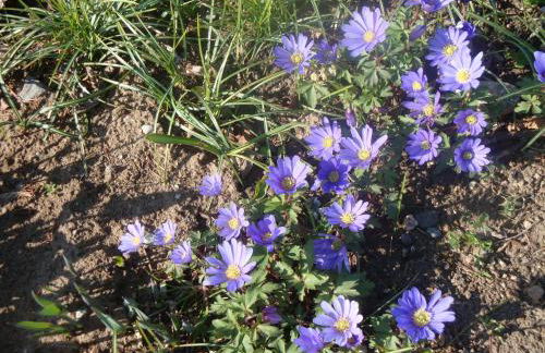 Gutspark Seeblick - Foto 12