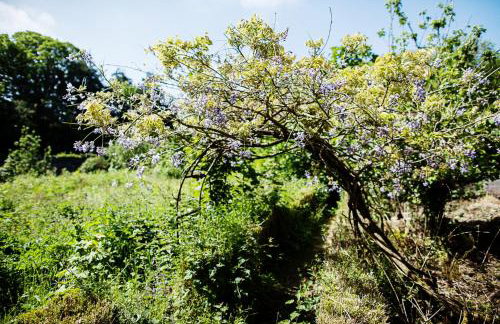 Gardeners Cottage - Foto 18