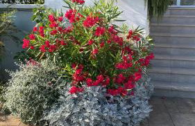 Volme Resort - Photo 5