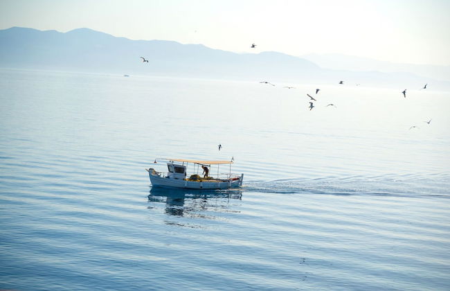 Corfu Apt in Gaios With 1 Bedrooms and 1 Bathrooms - Foto 22