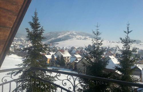 Willa Pienińska - Foto 37