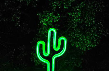 Indian Cove - Foto 50