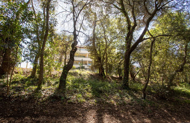 Le Royal Park - Foto 18