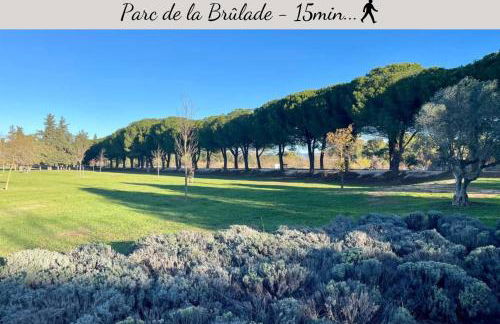 SPÉCIAL COUPLE & FAMILLE - Lit Queen Size - NETFLIX - Climatisation - Terrasse Plein Sud - 2 min Centre-Ville - 6 min Mer - Wifi 400 Mbits Parking privé - OFFRE SPÉCIALE - Foto 28