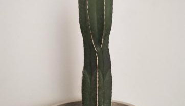 Casa el Concepto - Foto 5