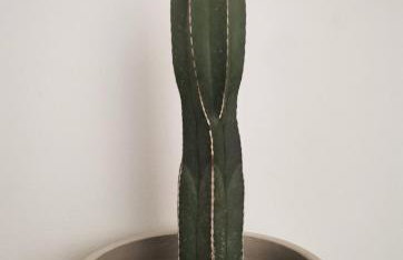 Casa el Concepto - Foto 5