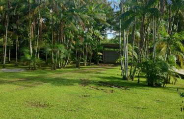 Chácara Bela Vista - Photo 38