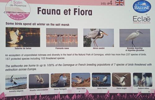 Les Oliviers de Camargue - Foto 21