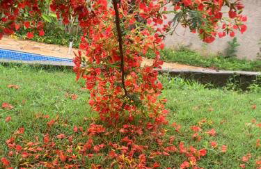 Chácara da Dinda - Photo 60