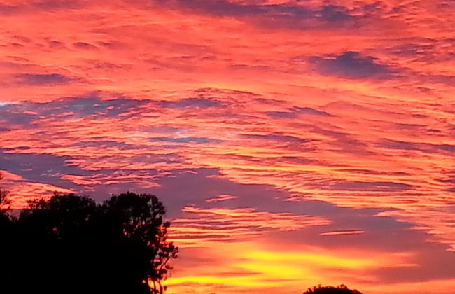 Nutkin Lodge - Photo 70