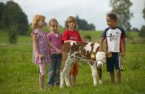 Ferienhof Off - Foto 9