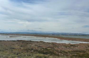 La Belle Gruissanaise - Foto 43