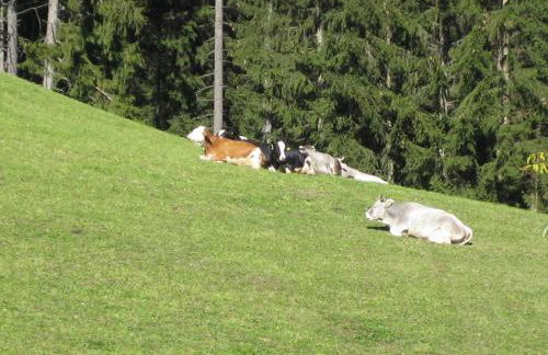 Biohof Hamann - Foto 12