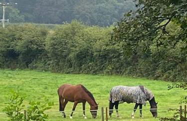 Luxury retreat with hot tub & wood burner - Mylor - Foto 33
