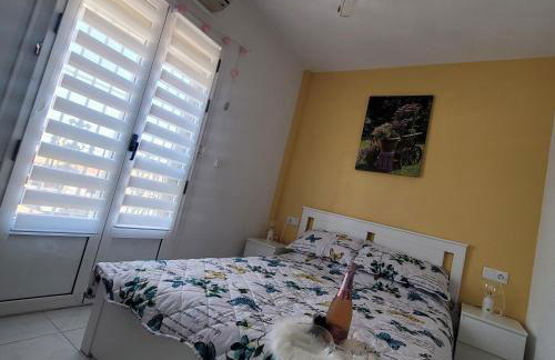 House with roof terrace - Foto 16