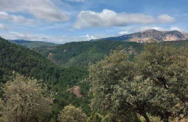 La Guijarroseña , Rio Madera - Foto 52