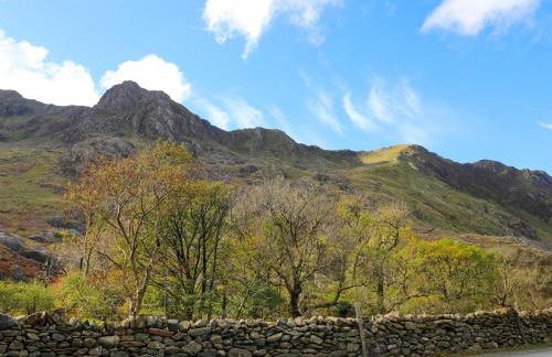 Llys Elen - Photo 51