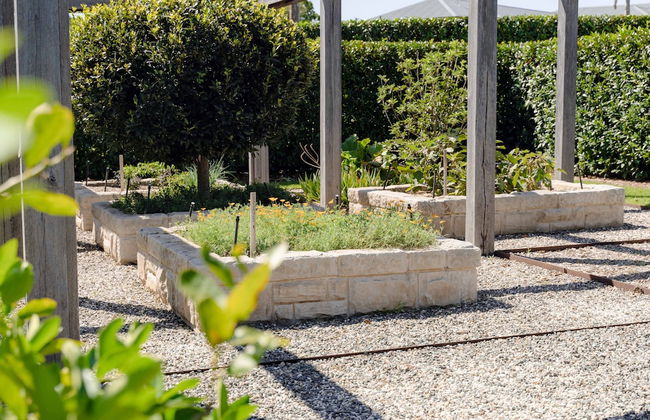 Linnaeus Suite, Berry - by Linnaeus Collection - Foto 26