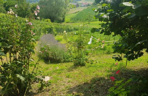 Apartman 2 - Foto 36