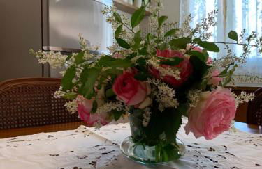 Palazzo Venieri - Foto 11