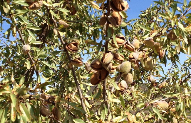 Quinta da Pereira - Foto 19