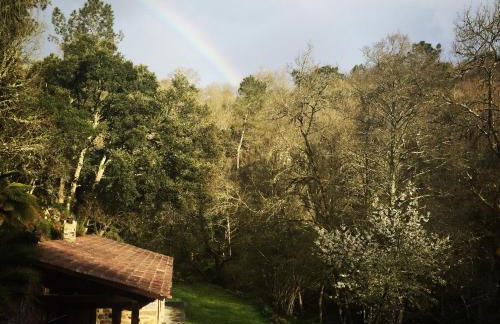 O Muíño da Balsiña - Foto 18