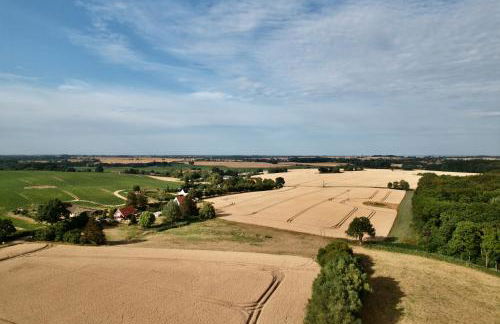Ferienhaus LebenPUR Bio-Ferienhaus aus Holz - Foto 20