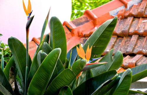 Casa do pescador - Foto 32