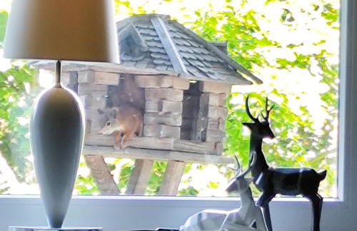 Ferienwohnung Haus am Wald - Foto 37