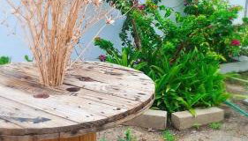 Casa Costa & França - Foto 3