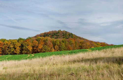 Gästezimmer für 3 Personen - Foto 7