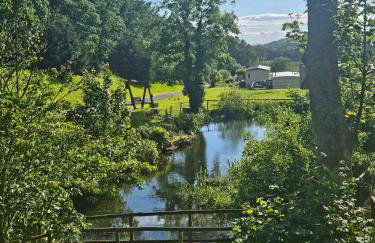 The Sunny Bunny Holiday Home - Foto 15