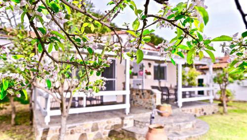 Nina Holidays - Foto 2