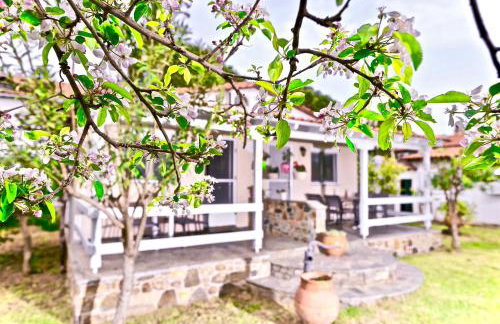 Nina Holidays - Foto 2