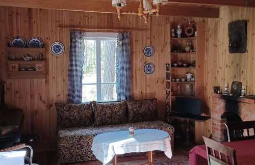 Wilga - urokliwy dom z bala (50 km od Warszawy) - Foto 6