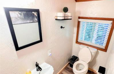 Trout River Cabin - Cozy Quiet Peaceful Retreat - Foto 43